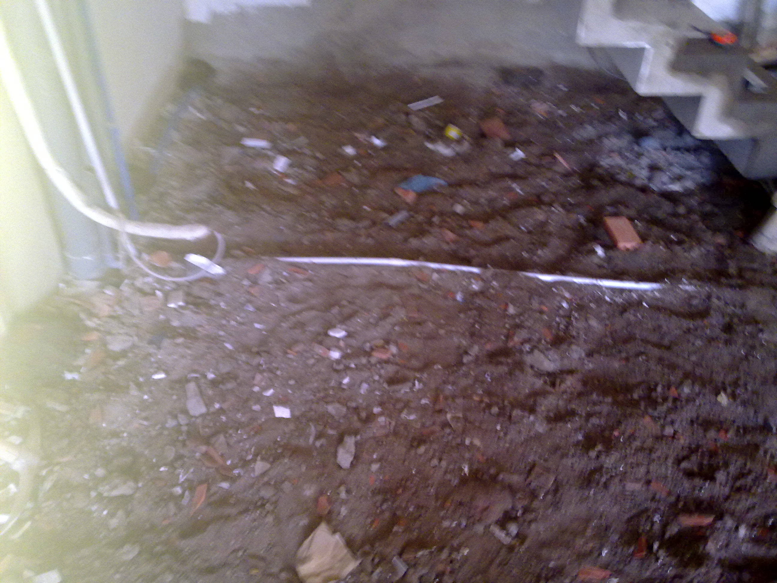 26112012428.jpg (724 KB)