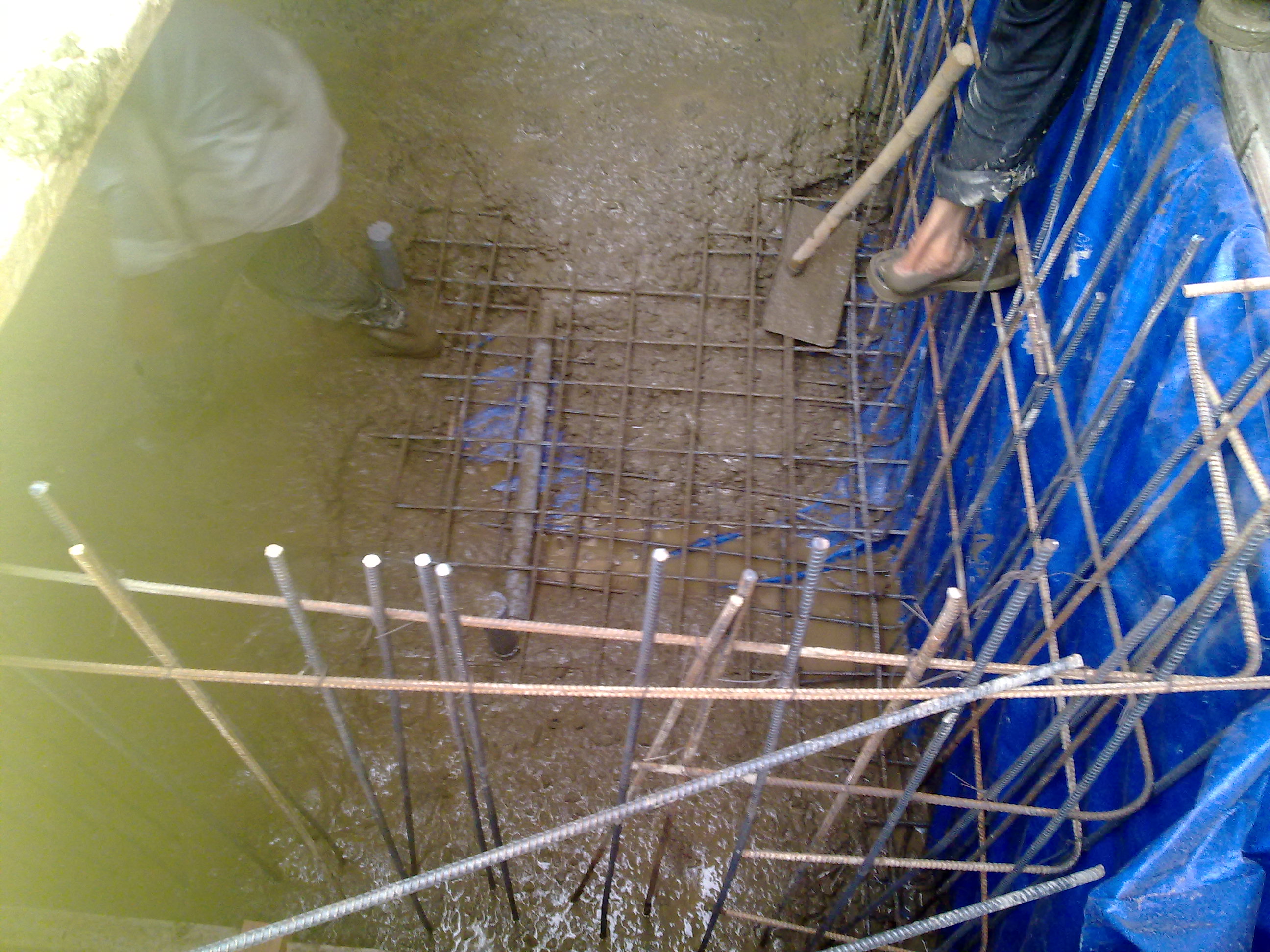05122012473.jpg (972 KB)
