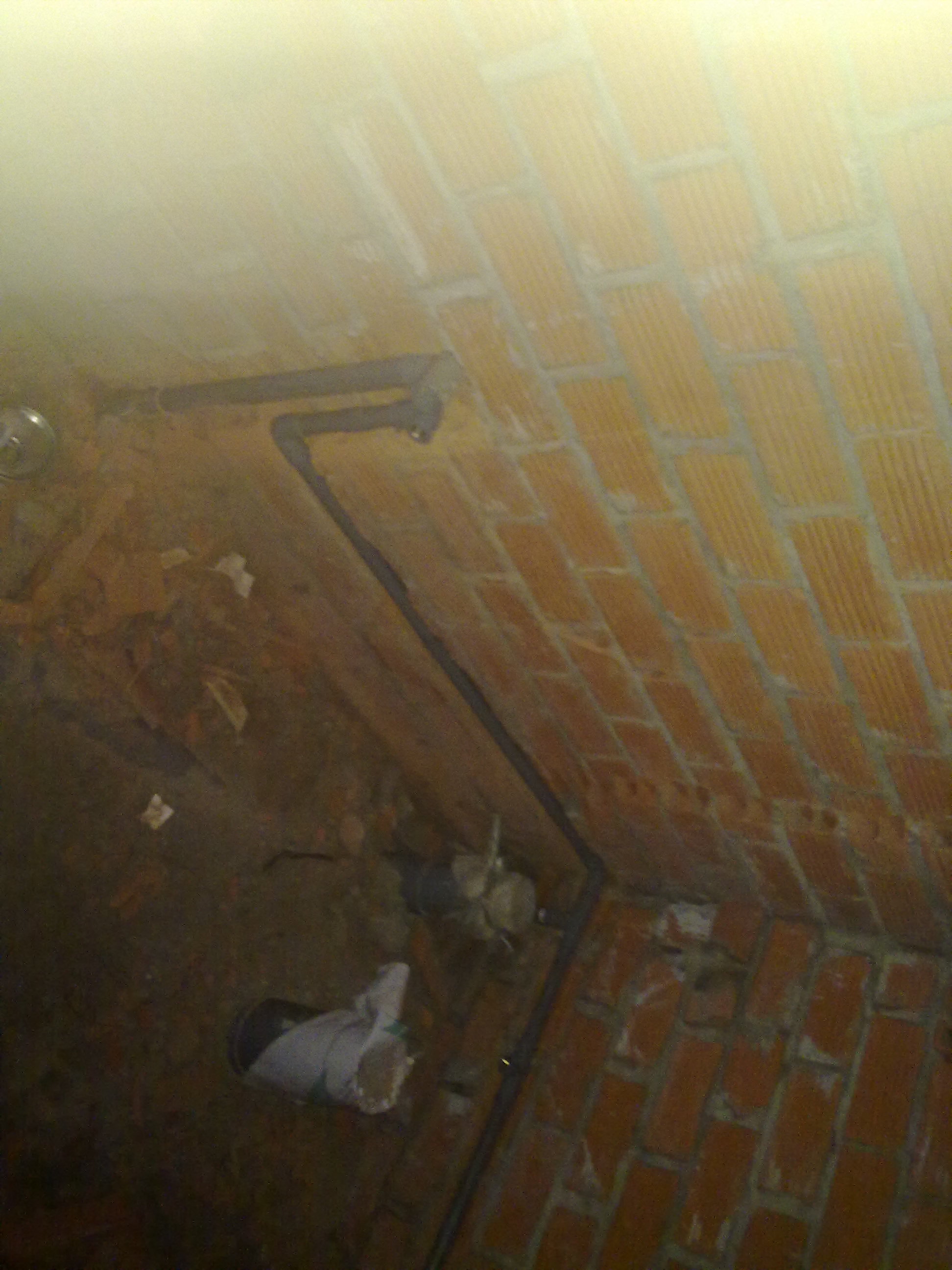 05102012370.jpg (559 KB)