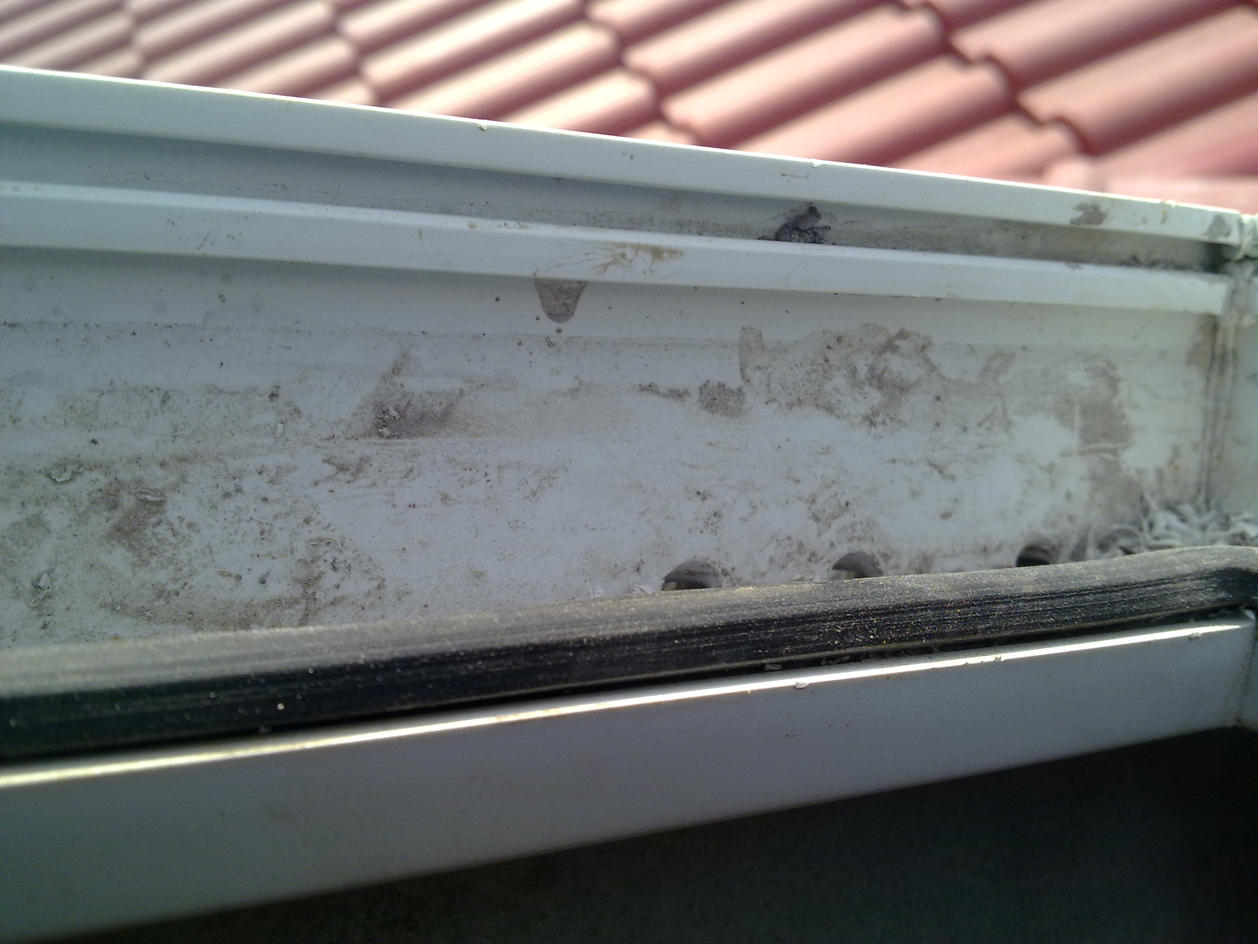 07102012389.jpg (576 KB)
